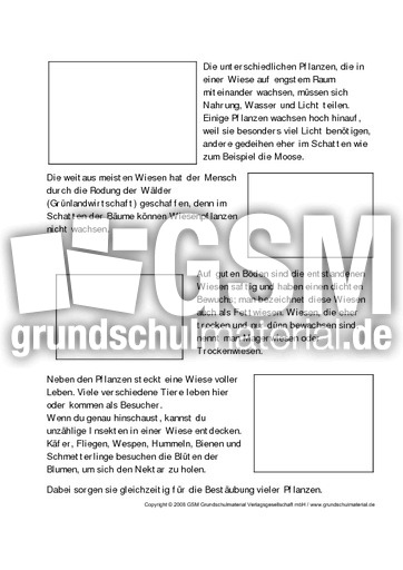 Lebensraum-Wiese-m-Fotos-2.pdf